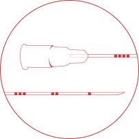 Aguja para bloqueo pre biopsia de próstata